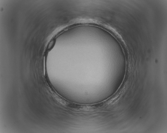 X0000067831175200604271547