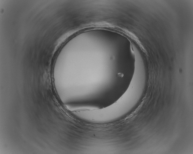 X0000067831176200604271547