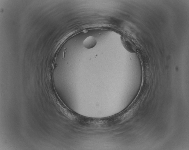 X0000067831177200604271547