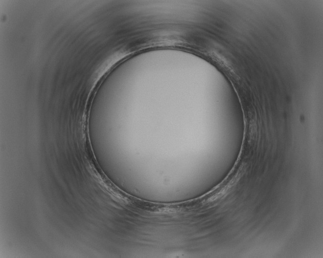 X0000067831178200604271546