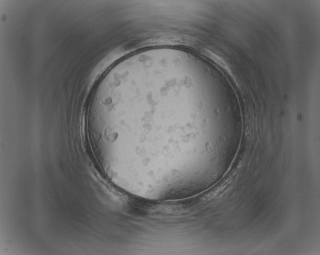 X0000067831179200604271546