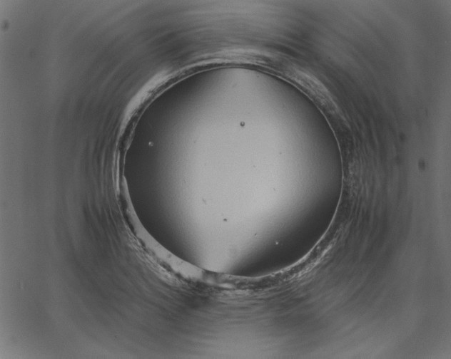 X0000067831180200604271546