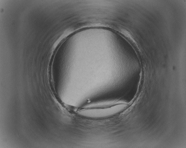 X0000067831181200604271546