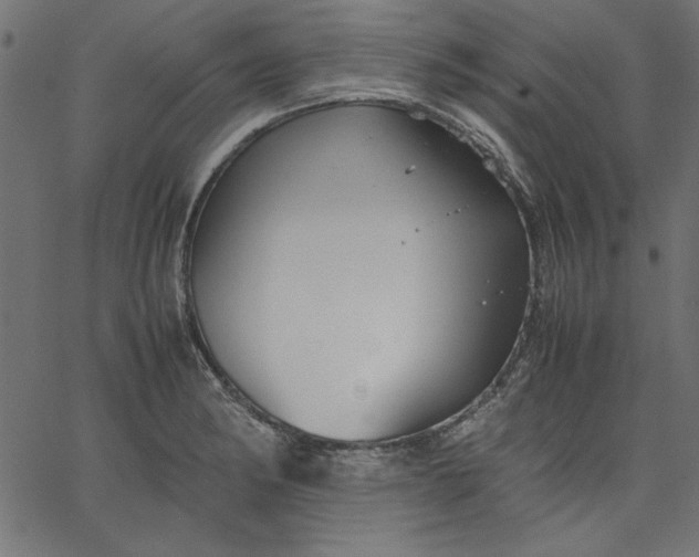 X0000067831182200604271546