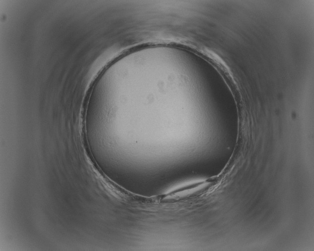 X0000067831183200604271546