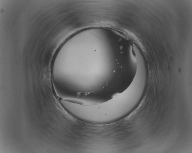 X0000067831184200604271546