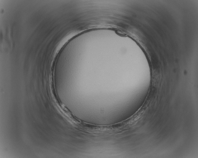 X0000067831187200604271546