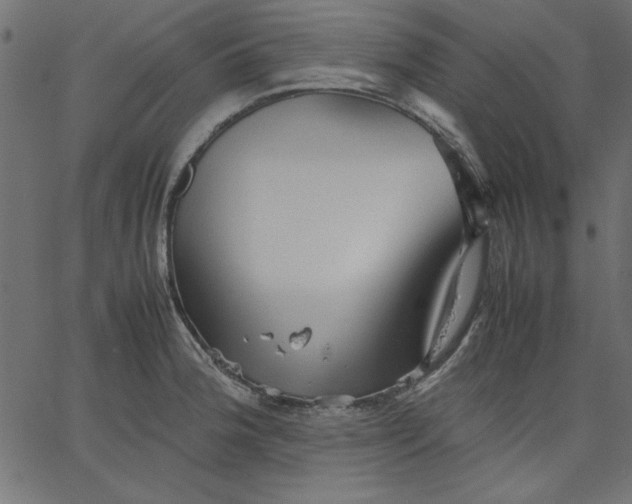 X0000067831188200604271546