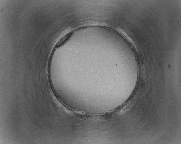 X0000067831189200604271546