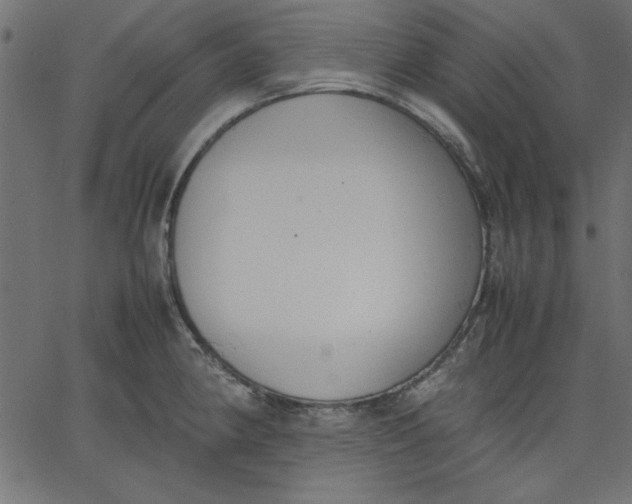 X0000067831190200604271546