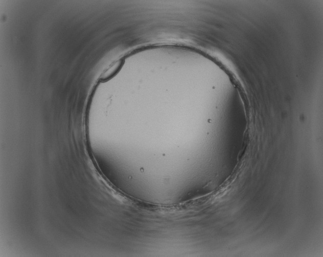 X0000067831191200604271546