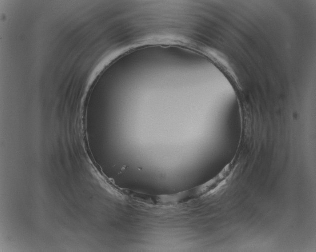 X0000067831192200604271546