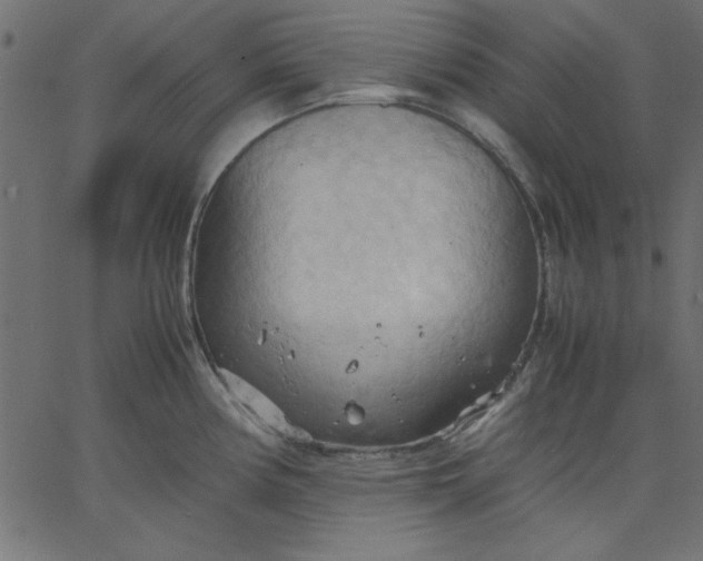 X0000067831194200604271546