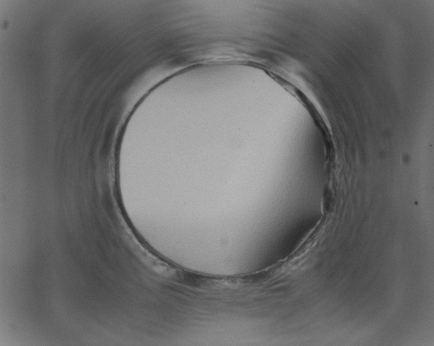 X0000067831195200604271546