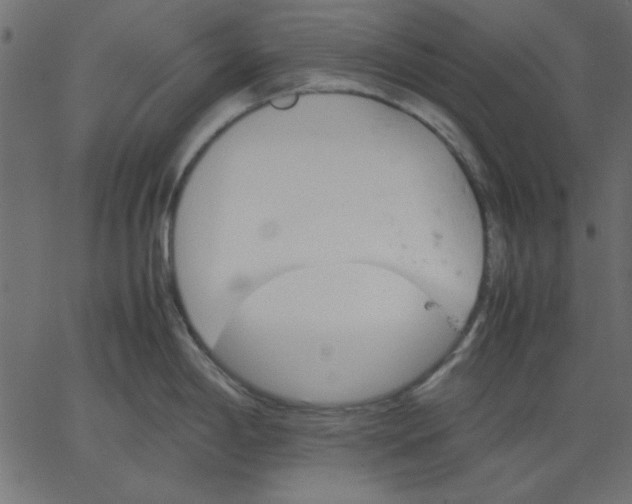 X0000067831198200604271546