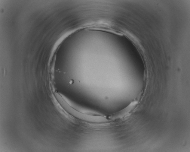 X0000067831200200604271546