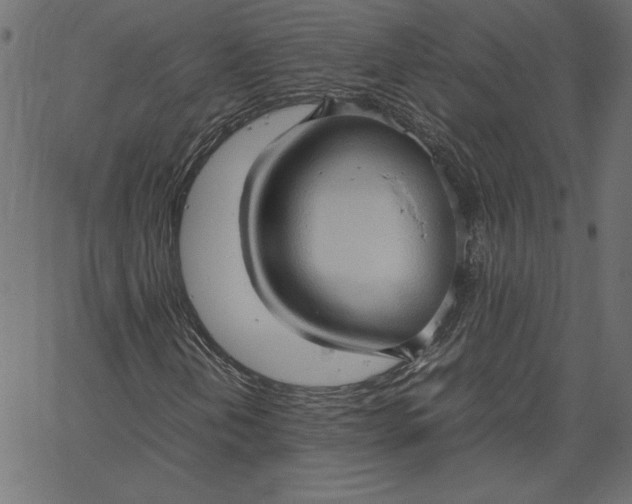 X0000067831202200604271545