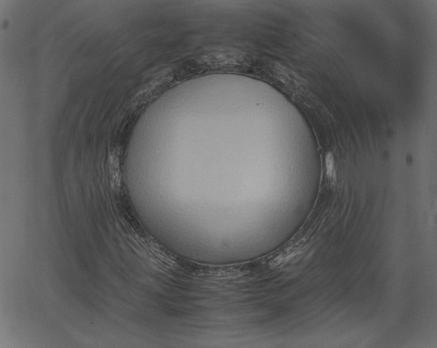 X0000067831203200604271545