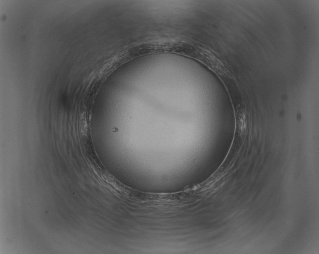 X0000067831204200604271545