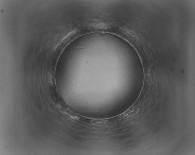 X0000067831205200604271545