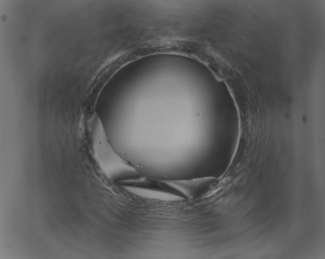 X0000067831206200604271545