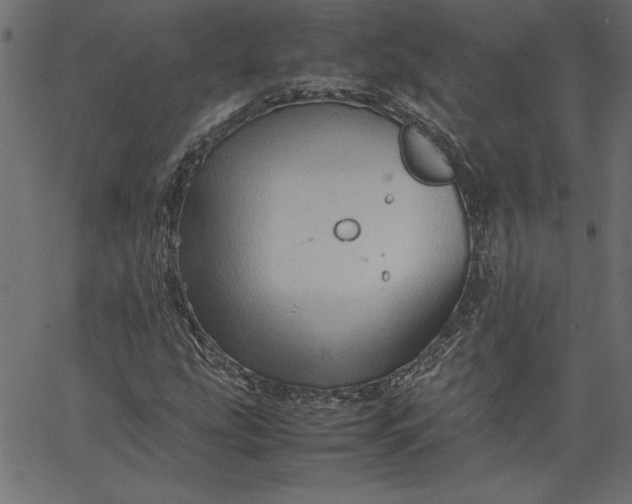 X0000067831207200604271545