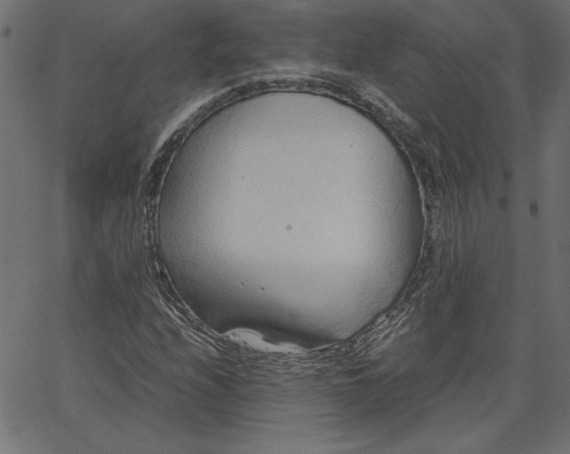 X0000067831208200604271545