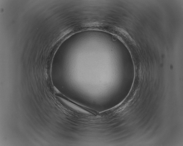 X0000067831209200604271545