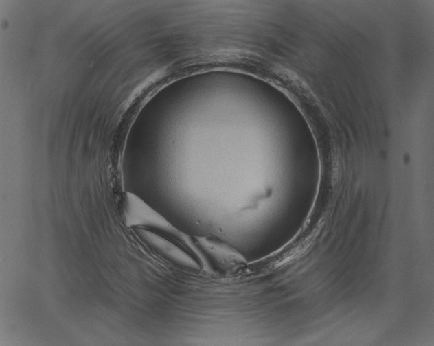 X0000067831210200604271546