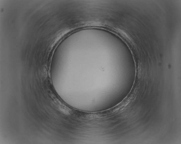 X0000067831212200604271546