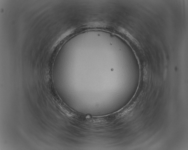 X0000067831213200604271546