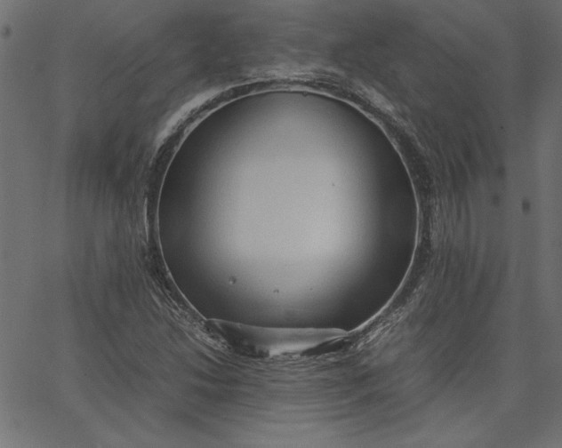 X0000067831214200604271546