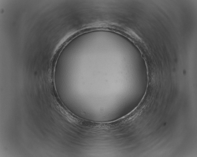 X0000067831216200604271546