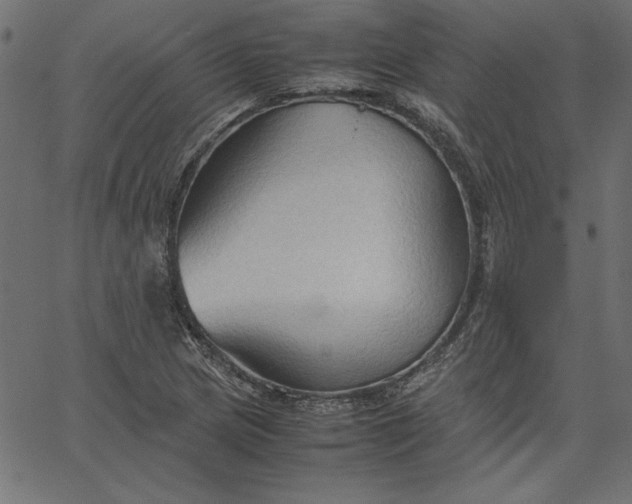 X0000067831217200604271546