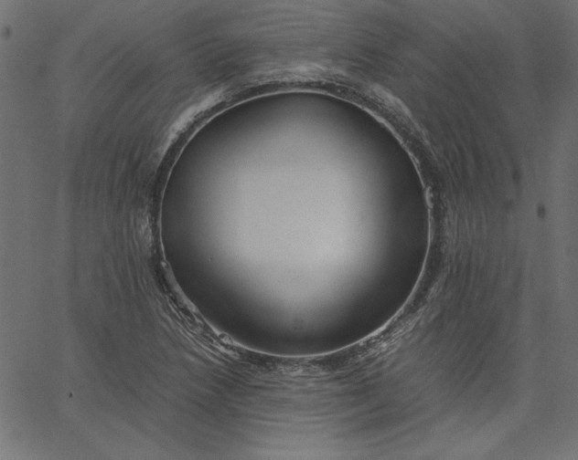 X0000067831218200604271546