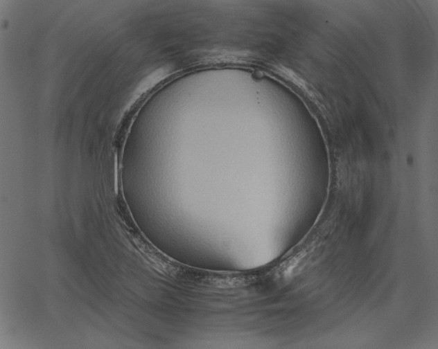 X0000067831219200604271546