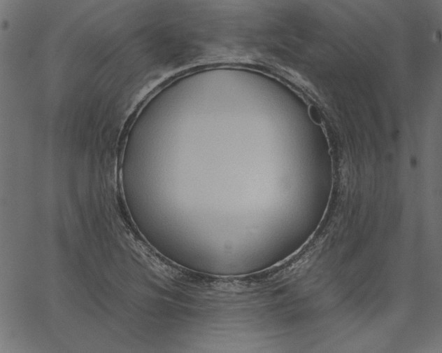 X0000067831220200604271546