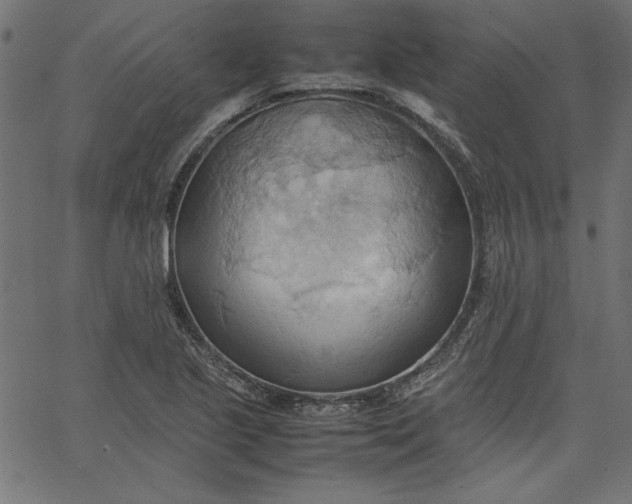 X0000067831221200604271546