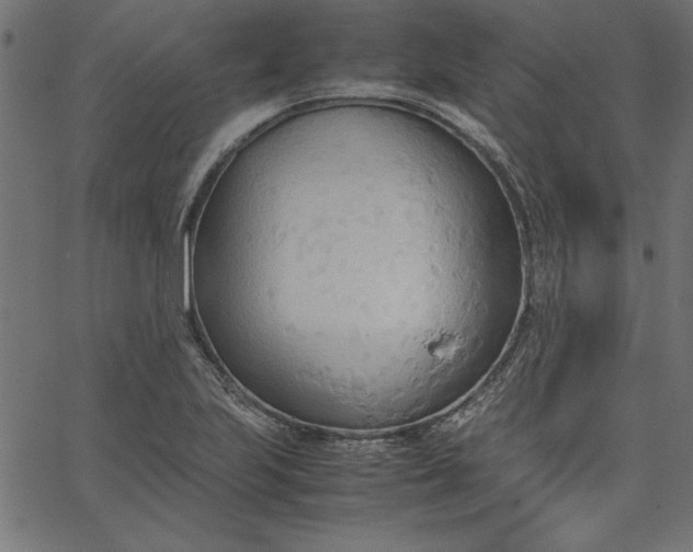 X0000067831223200604271546