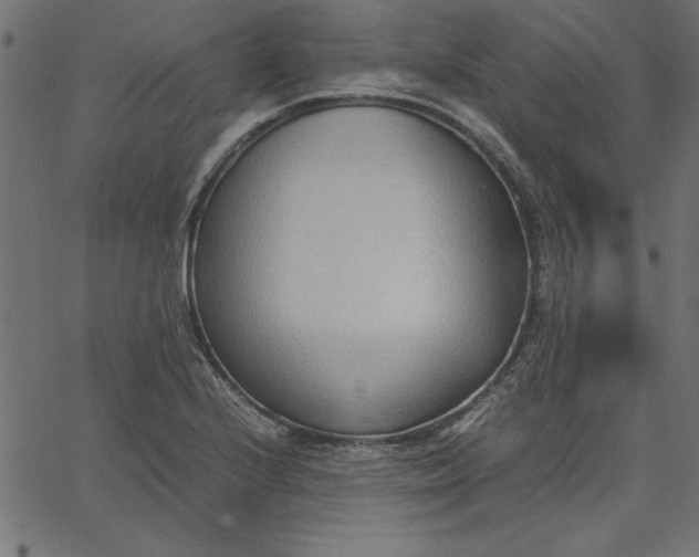 X0000067831224200604271546