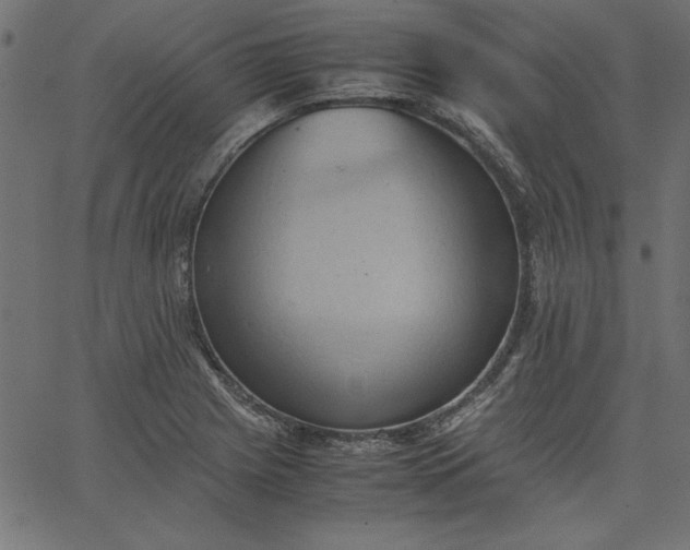 X0000067831225200604271546