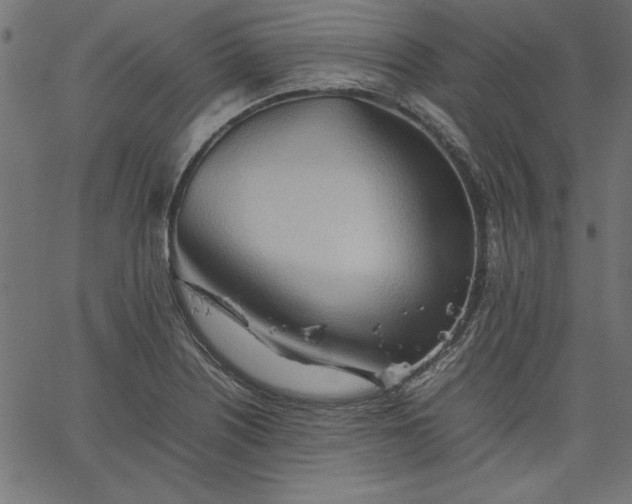 X0000067831226200604271546