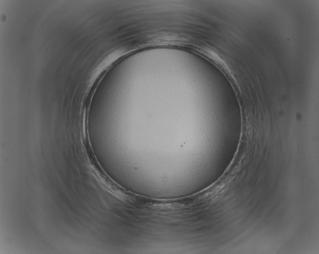 X0000067831227200604271546