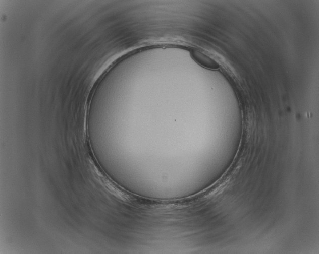 X0000067831228200604271546