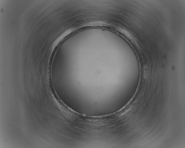 X0000067831229200604271546