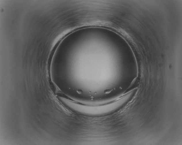 X0000067831230200604271546