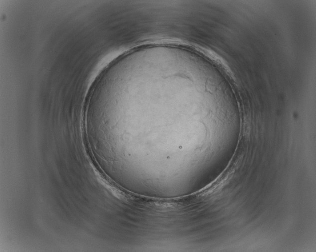 X0000067831231200604271546