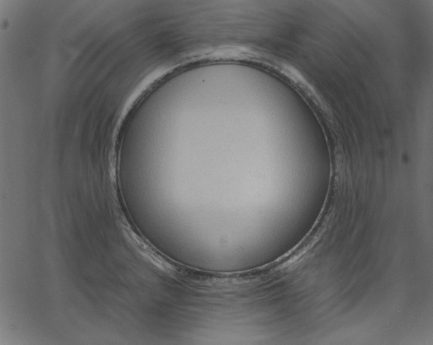 X0000067831232200604271546