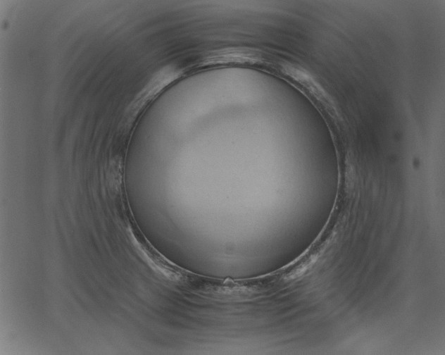 X0000067831233200604271546