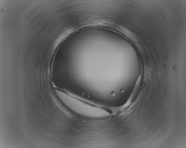 X0000067831234200604271546